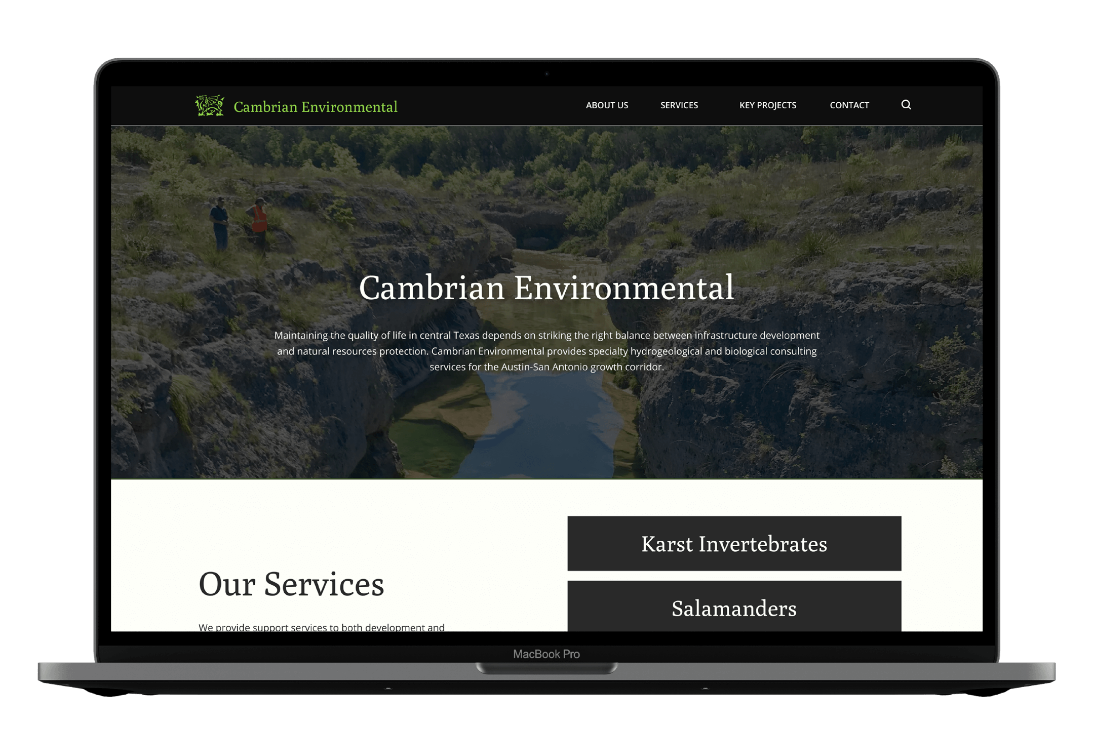 Cambrian Env